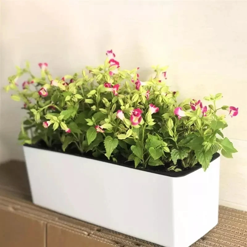 Automatic Plant Waterer - Prostokątna leniwa doniczka hydroponiczna z tworzywa