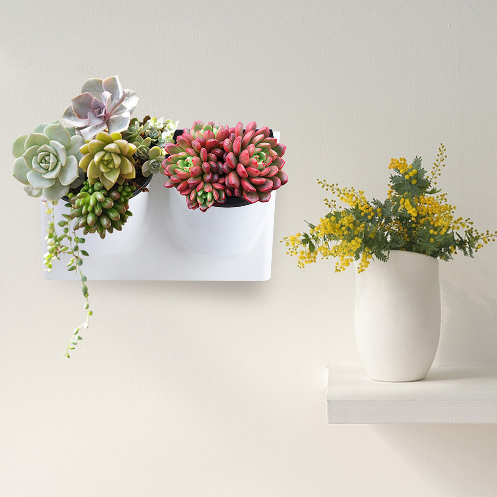 Samonawadniająca się doniczka  – Self-Watering Planter recenzja i cena