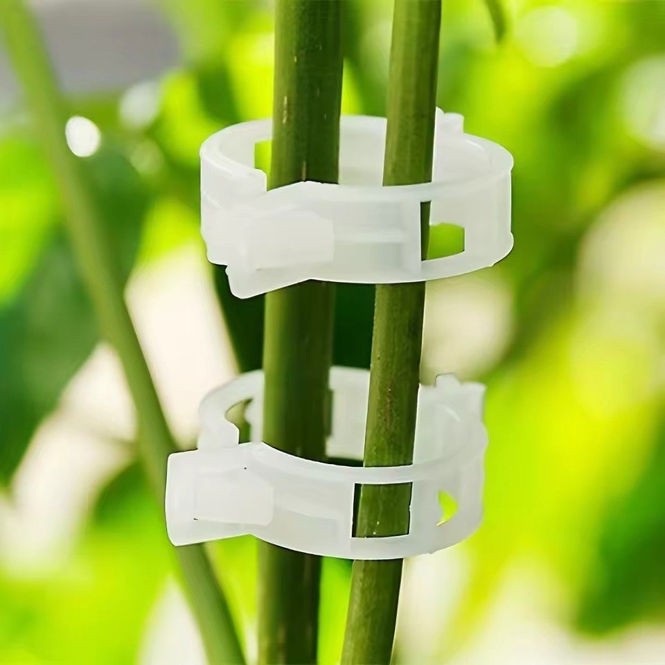 20 sztuk klipsów do podtrzymyw – Gardening Tools Vegetables recenzja i cena