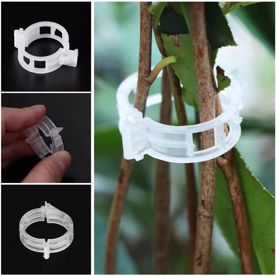 20 sztuk klipsów do podtrzymyw – Gardening Tools Vegetables recenzja i cena