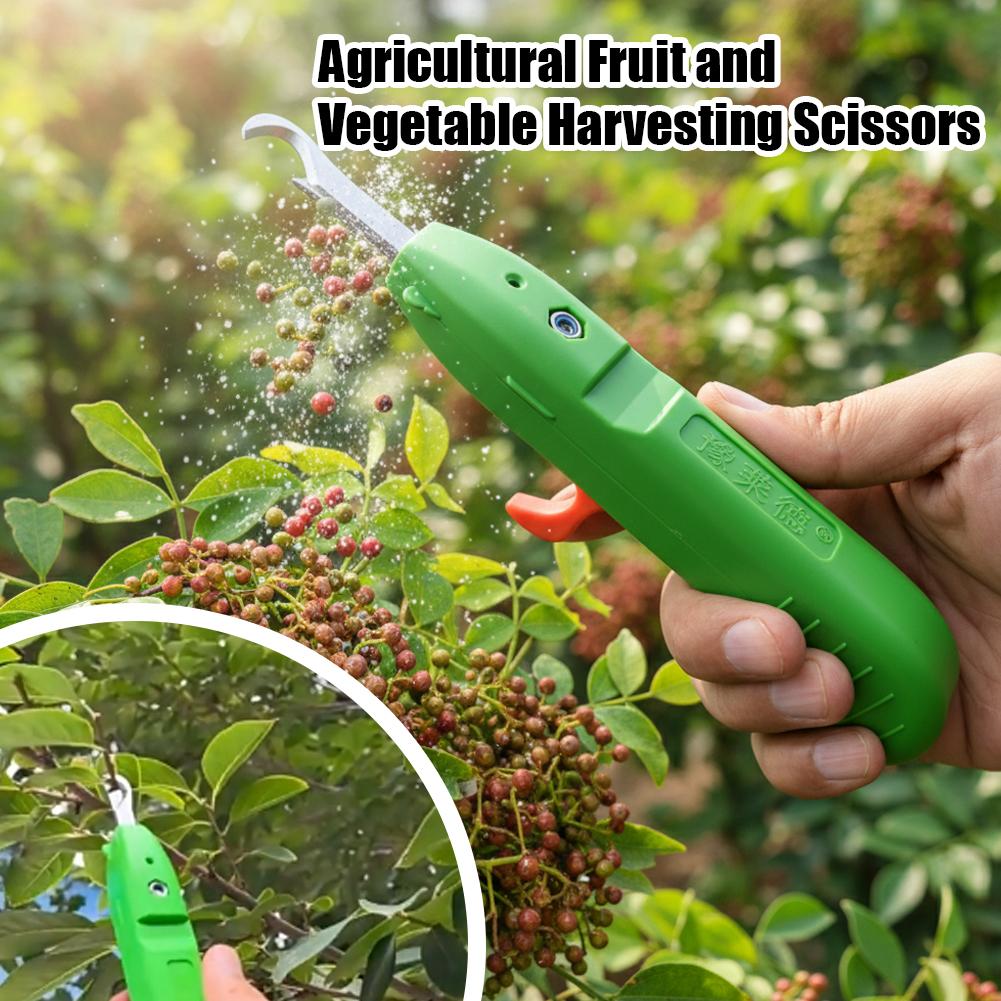 Nożyce do zbioru owoców i warz – Gardening Tools Vegetables recenzja i cena
