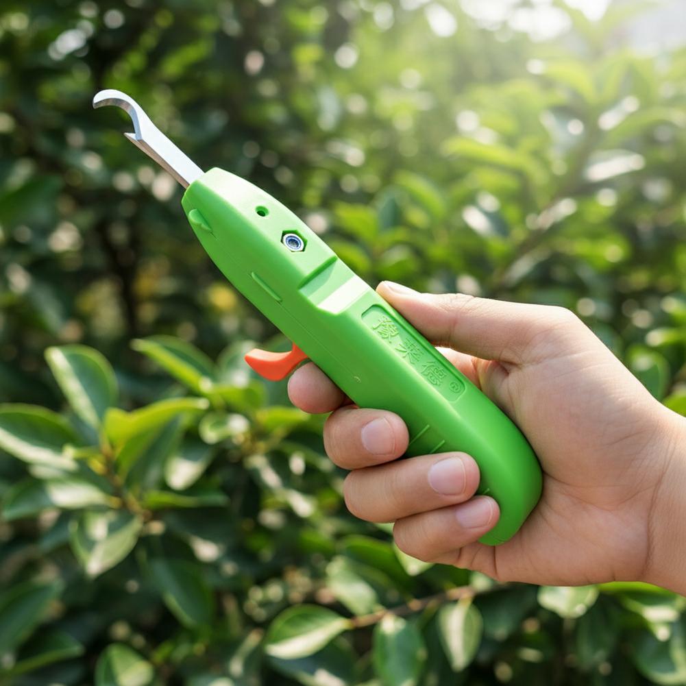 Nożyce do zbioru owoców i warz – Gardening Tools Vegetables recenzja i cena