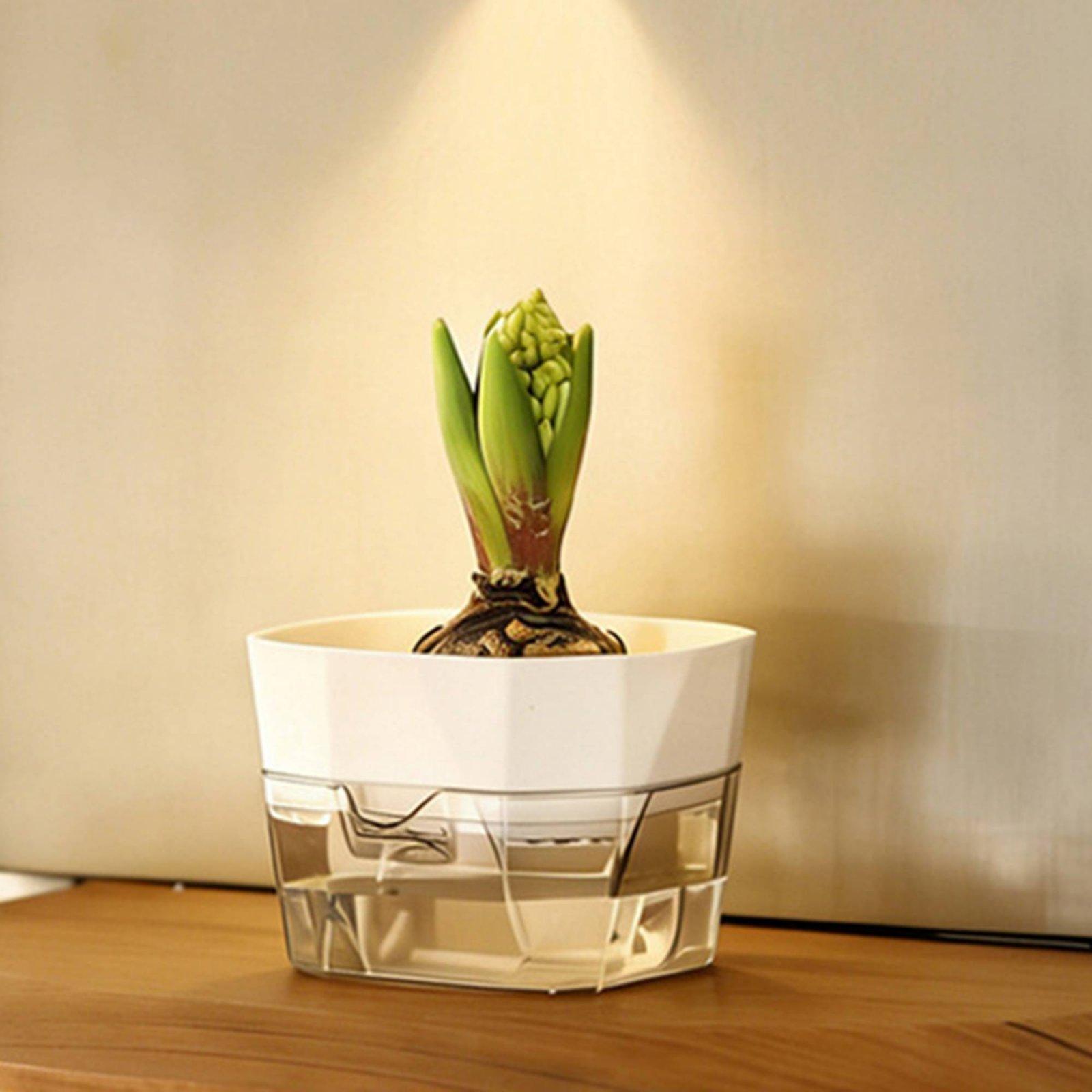 Wazon hydroponiczny dwuwarstwo – Self-Watering Planter recenzja i cena