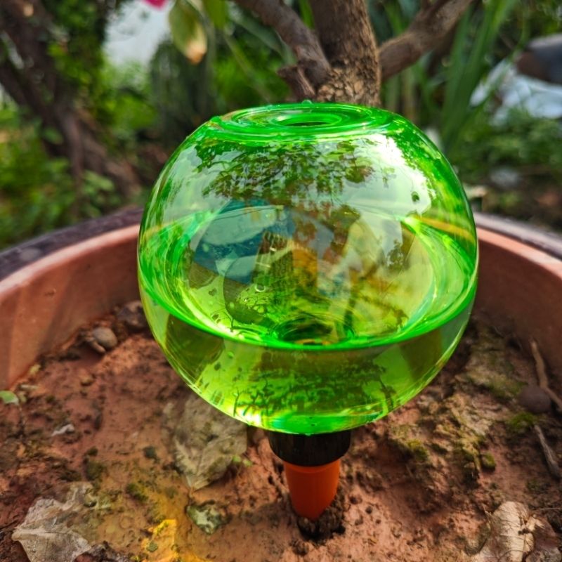 3 szt. Duże plastikowe kule do – Self-Watering Planter recenzja i cena